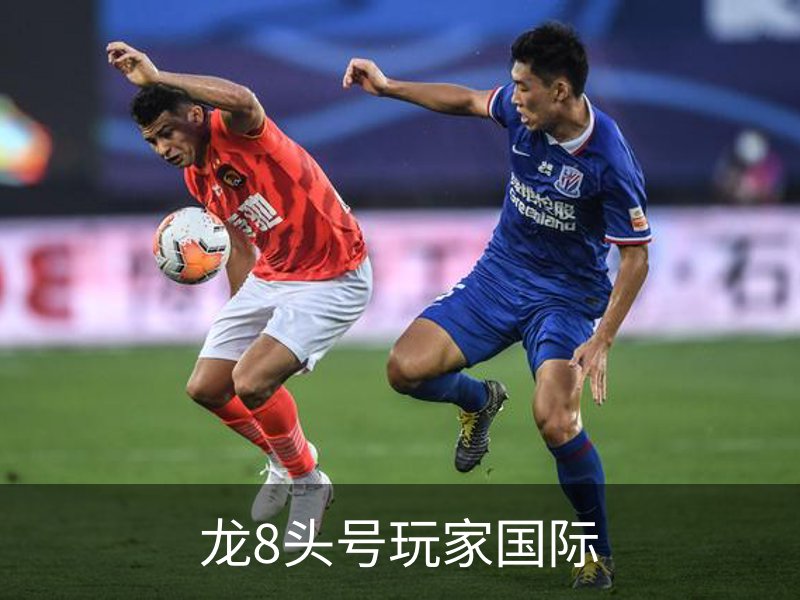 龙8头号玩家国际介绍